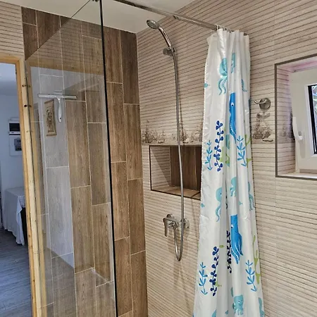 Casa Salvamarului ホームステイ エフォリエ・スド