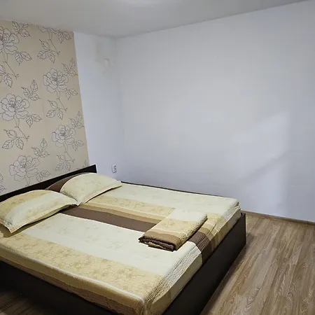 ホームステイ Casa Salvamarului *